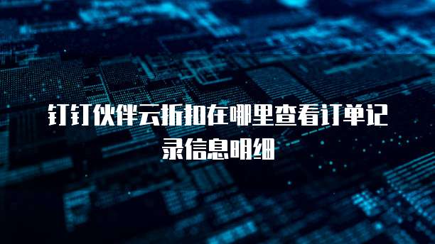 钉钉伙伴云折扣在哪里查看订单记录信息明细