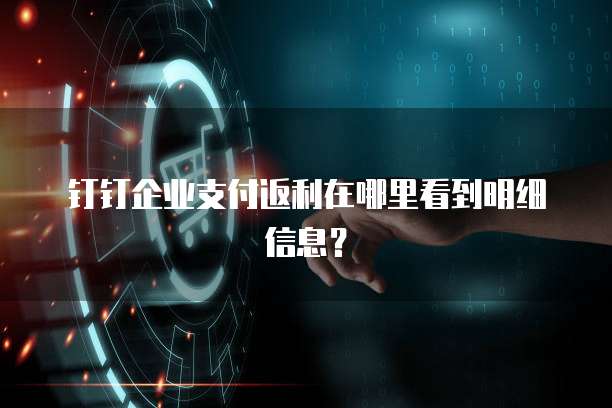 钉钉企业支付返利在哪里看到明细信息?