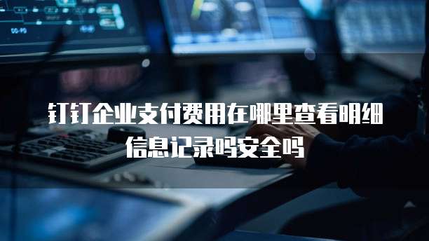 钉钉企业支付费用在哪里查看明细信息记录吗安全吗