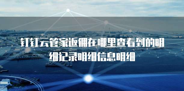 钉钉云管家返佣在哪里查看到的明细记录明细信息明细