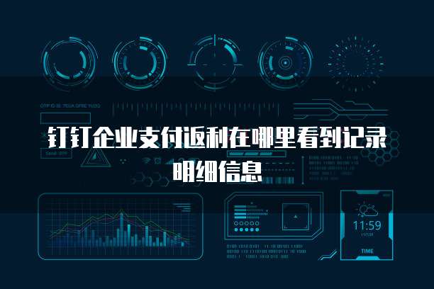 钉钉企业支付返利在哪里看到记录明细信息