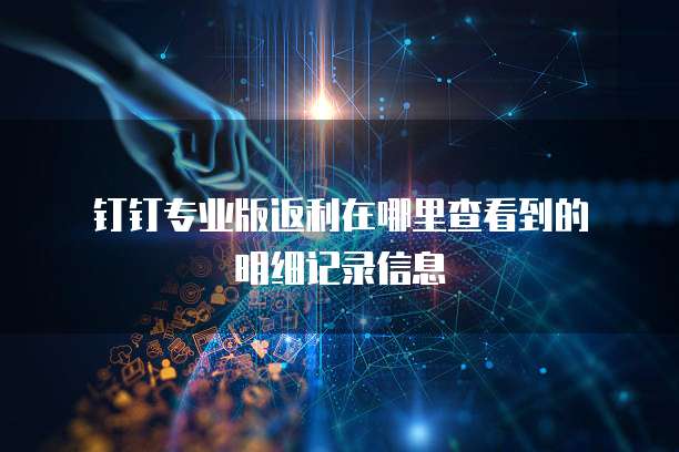 钉钉专业版返利在哪里查看到的明细记录信息