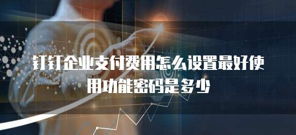 钉钉企业支付费用怎么设置最好使用功能密码是多少