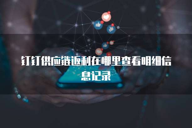 钉钉供应链返利在哪里查看明细信息记录