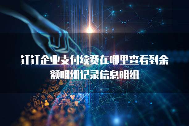 钉钉企业支付续费在哪里查看到余额明细记录信息明细