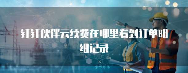 钉钉伙伴云续费在哪里看到订单明细记录