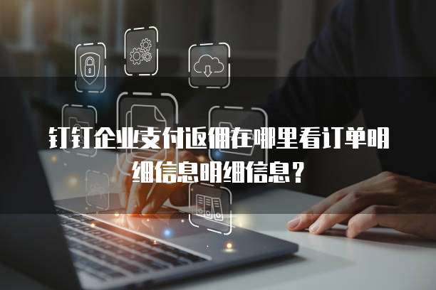 钉钉企业支付返佣在哪里看订单明细信息明细信息？