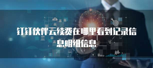 钉钉伙伴云续费在哪里看到记录信息明细信息