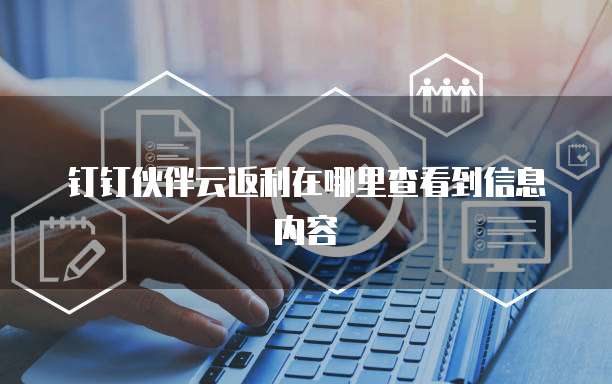 钉钉伙伴云返利在哪里查看到信息内容