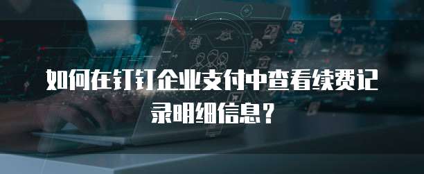 如何在钉钉企业支付中查看续费记录明细信息?