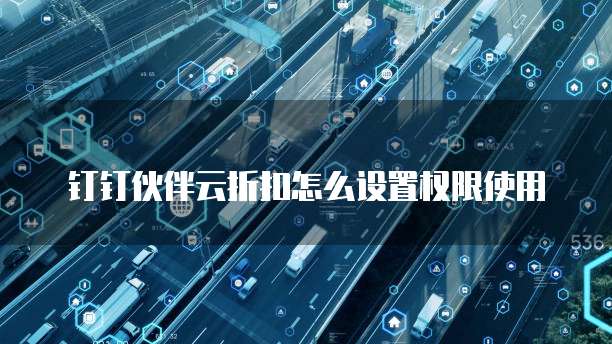 钉钉伙伴云折扣怎么设置权限使用