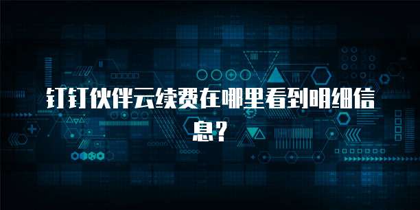 钉钉伙伴云续费在哪里看到明细信息?