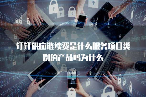钉钉供应链续费是什么服务项目类别的产品吗为什么