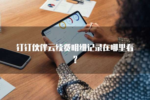 钉钉伙伴云续费明细记录在哪里看?