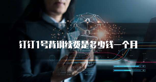 钉钉1号背调续费是多少钱一个月