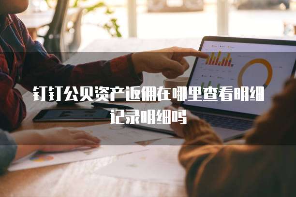 钉钉公贝资产返佣在哪里查看明细记录明细吗