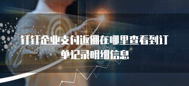 钉钉企业支付返佣在哪里查看到订单记录明细信息