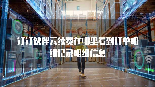 钉钉伙伴云续费在哪里看到订单明细记录明细信息