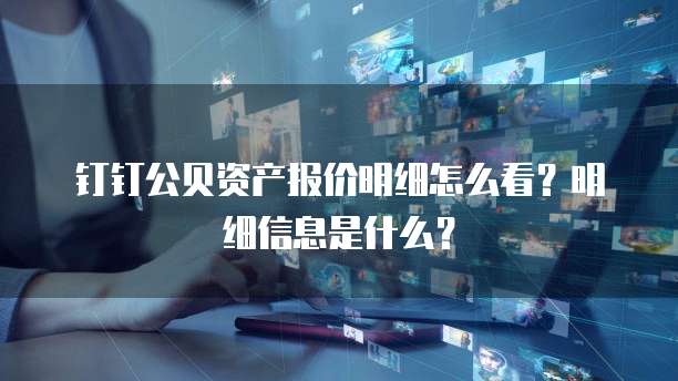 钉钉公贝资产报价明细怎么看？明细信息是什么？