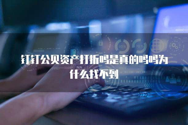 钉钉公贝资产打折吗是真的吗吗为什么找不到