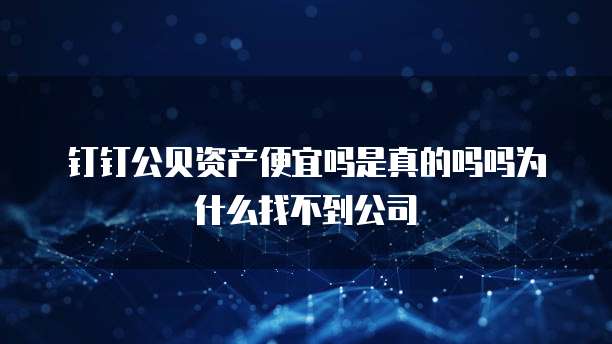 钉钉公贝资产便宜吗是真的吗吗为什么找不到公司