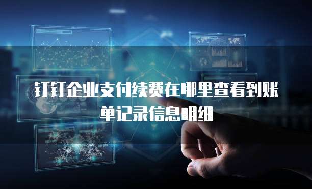 钉钉企业支付续费在哪里查看到账单记录信息明细