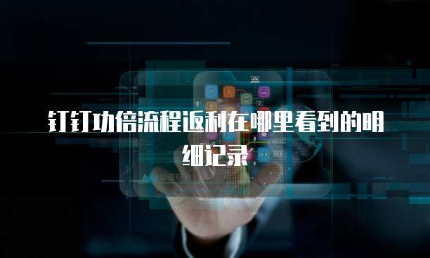 钉钉功倍流程返利在哪里看到的明细记录