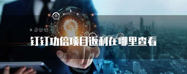 钉钉功倍项目返利在哪里查看