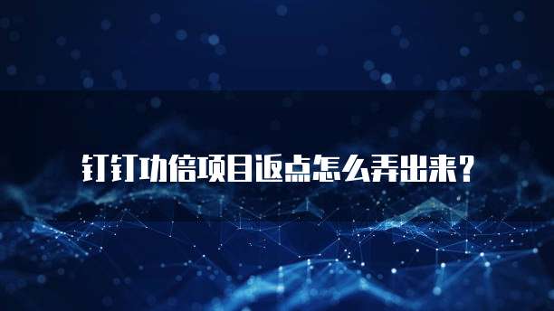钉钉功倍项目返点怎么弄出来?