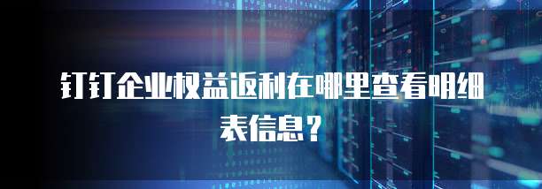 钉钉企业权益返利在哪里查看明细表信息?