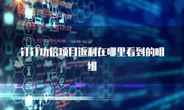 钉钉功倍项目返利在哪里看到的明细