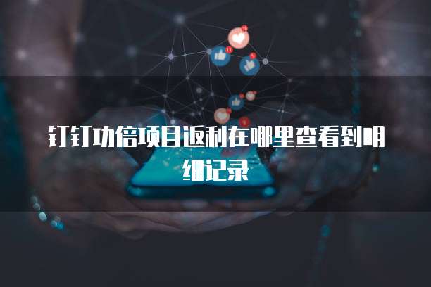 钉钉功倍项目返利在哪里查看到明细记录