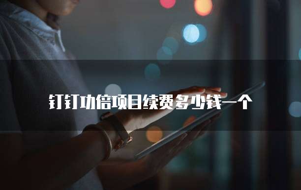 钉钉功倍项目续费多少钱一个
