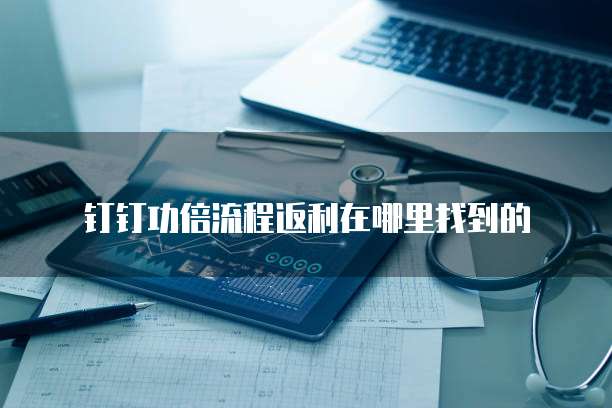 钉钉功倍流程返利在哪里找到的