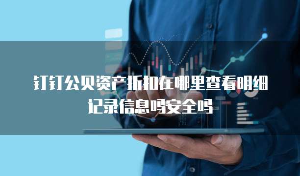 钉钉公贝资产折扣在哪里查看明细记录信息吗安全吗