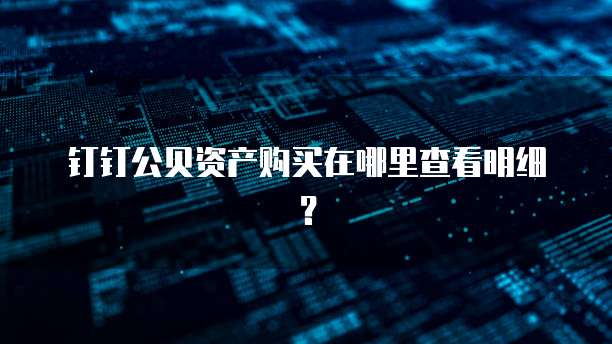 钉钉公贝资产购买在哪里查看明细?