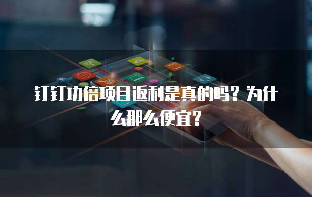 钉钉功倍项目返利是真的吗?为什么那么便宜?
