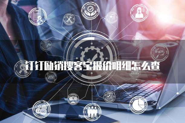 钉钉励销搜客宝报价明细怎么查