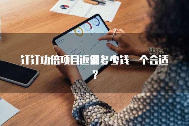 钉钉功倍项目返佣多少钱一个合适?