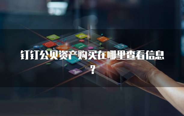 钉钉公贝资产购买在哪里查看信息?