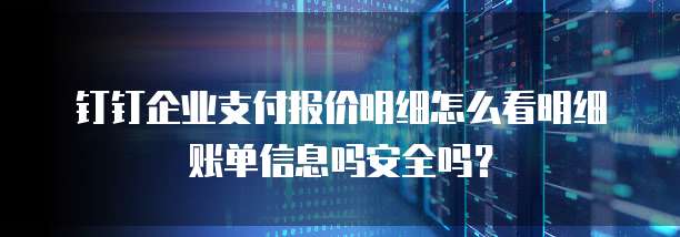 钉钉企业支付报价明细怎么看明细账单信息吗安全吗?