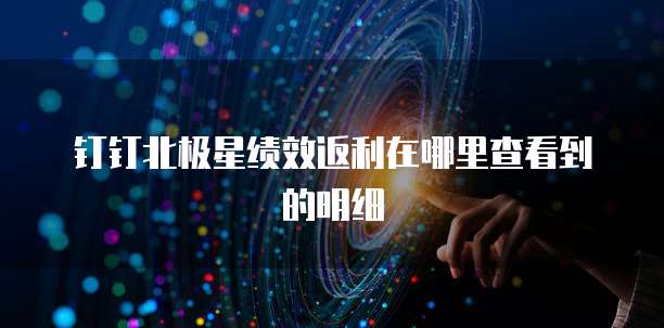 钉钉北极星绩效返利在哪里查看到的明细