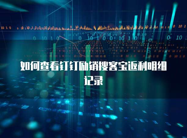 如何查看钉钉励销搜客宝返利明细记录