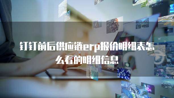 钉钉前后供应链erp报价明细表怎么看的明细信息