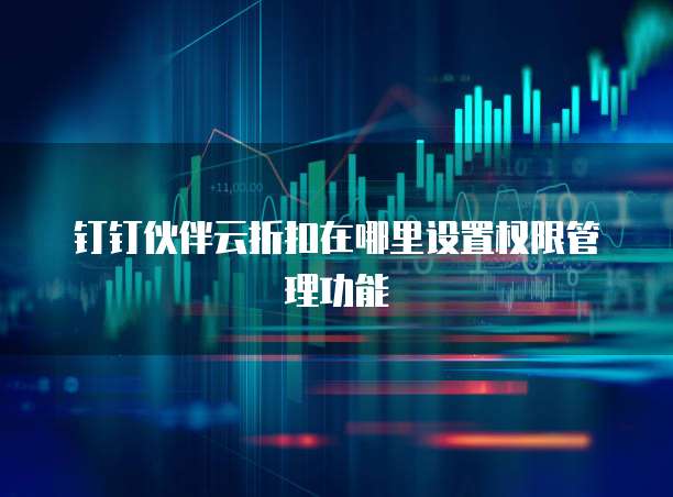 钉钉伙伴云折扣在哪里设置权限管理功能