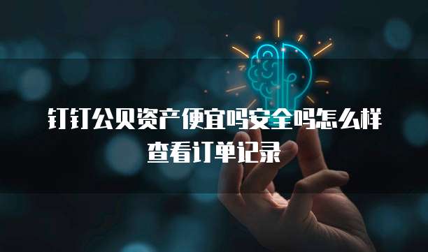 钉钉公贝资产便宜吗安全吗怎么样查看订单记录