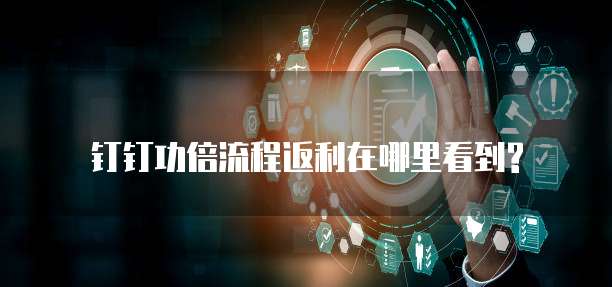 钉钉功倍流程返利在哪里看到?