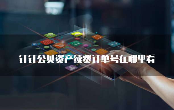 钉钉公贝资产续费订单号在哪里看