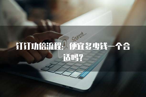 钉钉功倍流程:便宜多少钱一个合适吗?