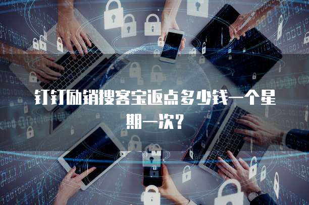 钉钉励销搜客宝返点多少钱一个星期一次?